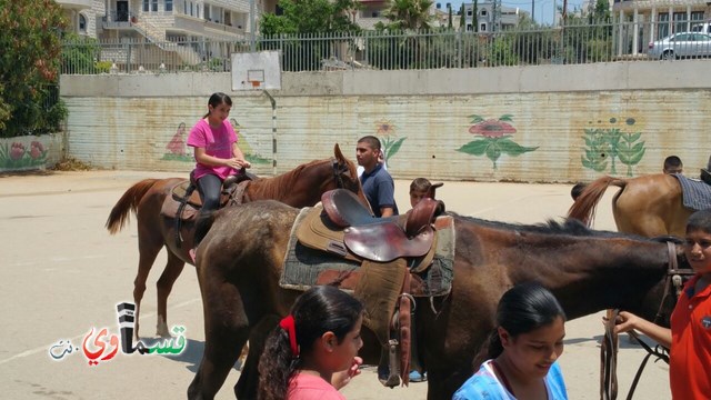 كفرقاسم - فيديو  : تعليم هواية ركوب الخيل في مدرسة جنة ابن رشد في اليوم الرابع لصيف الصادقة 